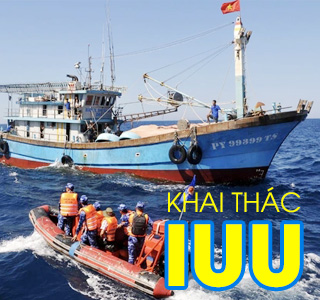 Khai thác IUU